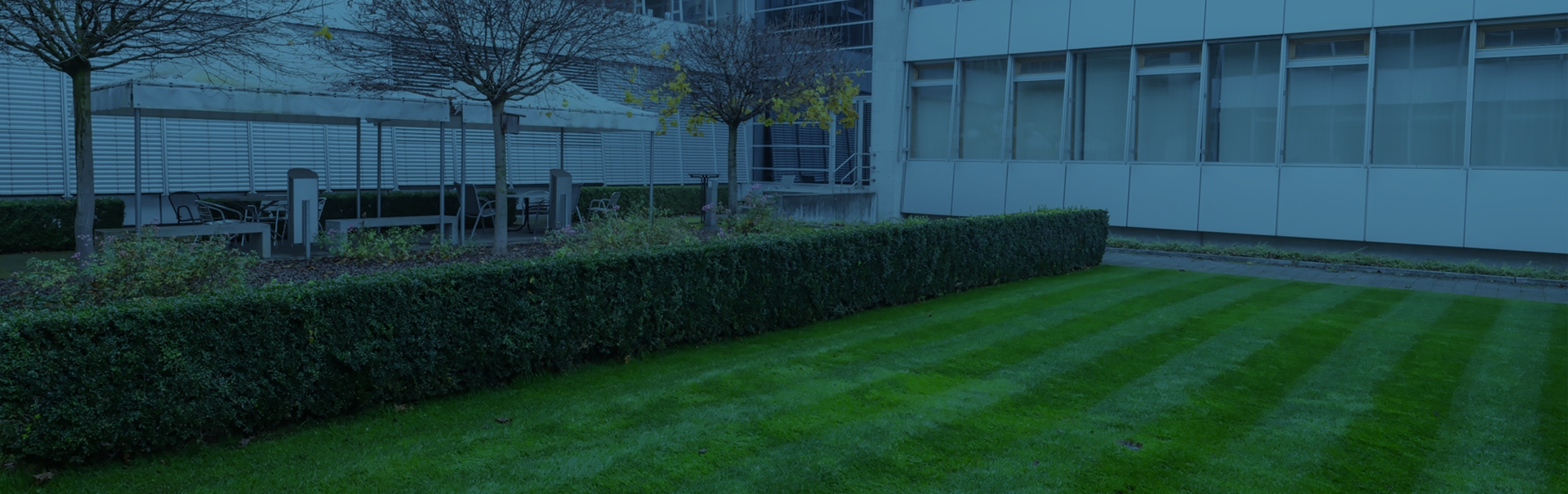 bild web4 banner all inclusive